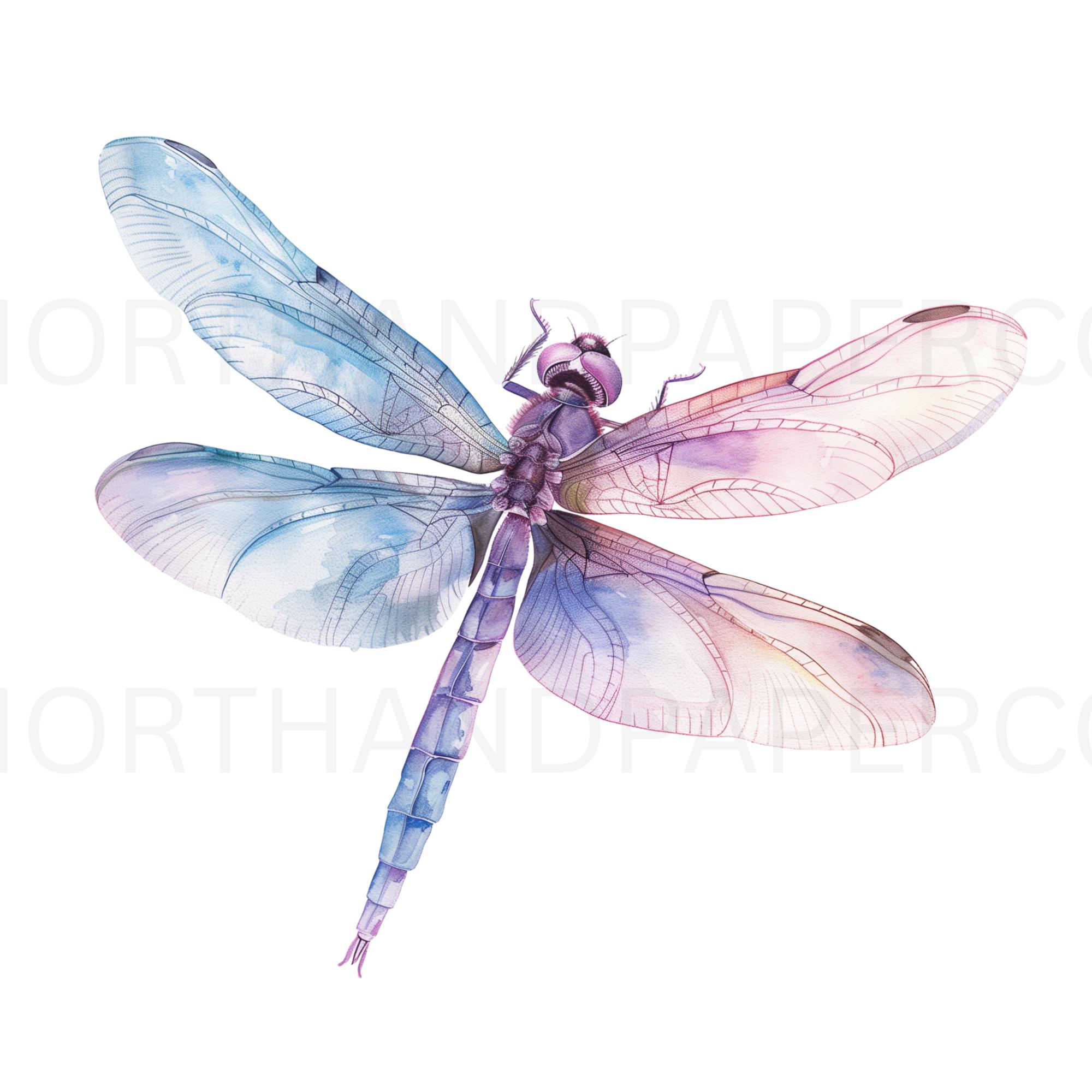 Watercolor Dragonfly Clipart Bundle (31 PNG) Floral Boho Insect ...
