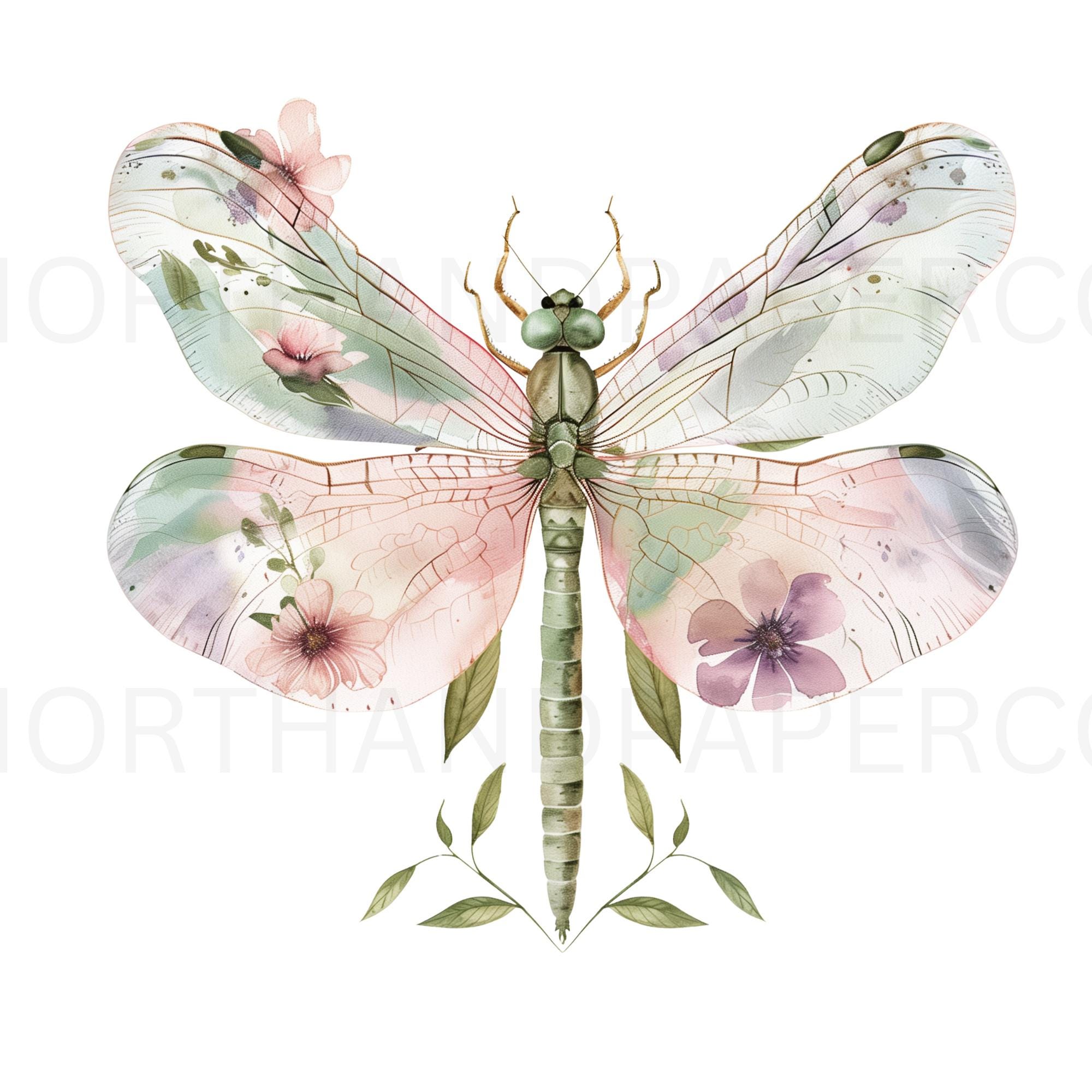 Watercolor Dragonfly Clipart Bundle (31 PNG) Floral Boho Insect ...
