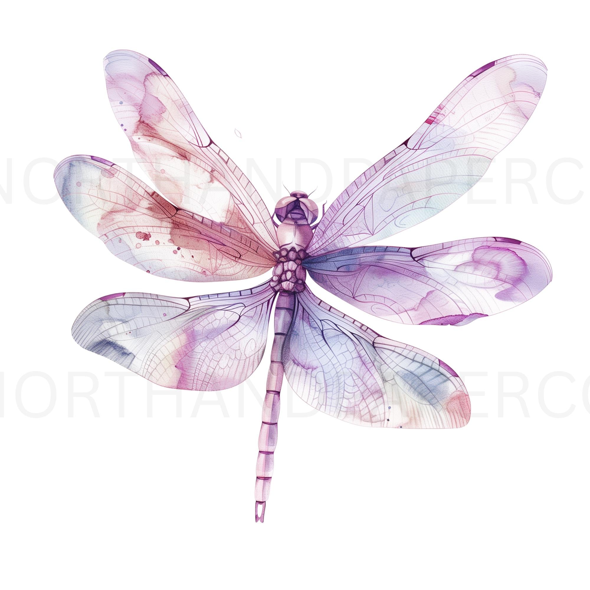 Watercolor Dragonfly Clipart Bundle (31 PNG) Floral Boho Insect ...