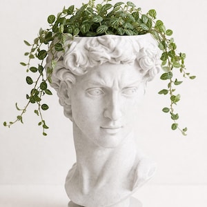 May include: A white, classical bust planter with a detailed face and curly hair, filled with a vibrant green plant. The plant's leaves spill over the planter's edge. The planter is on a round base, adding to its artistic appeal. A decorative item.