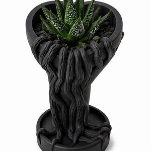 May include: A black, sculptural planter with a unique design, featuring a succulent plant with green leaves and white spots. The planter has a textured, root-like design that extends down to a circular base.