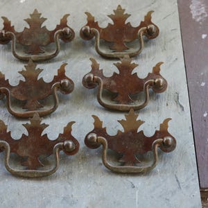 Könnte beinhalten: Sechs antike Schubladengriffe in Bronzefarbe mit einem dekorativen Blattdesign. Jeder Griff hat einen gebogenen Griff und verzierte Details, ideal, um Möbeln einen Vintage-Touch zu verleihen. Die Griffe sind auf einer grauen Oberfläche angeordnet.
