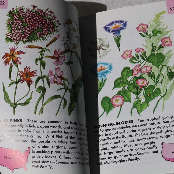 80s FLOWERS a Golden Guide BOOK Golden Books Illustrated American Wildflowers