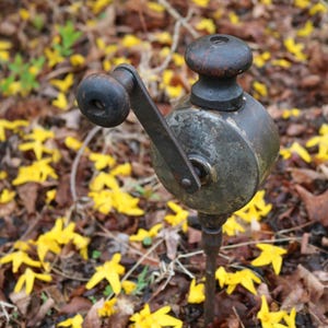 Op de afbeelding: Een antieke, verweerde metalen handboor met een houten handvat en knop. De boor staat in een bed van gevallen bladeren en heldergele bloemen, wat duidt op een buitenomgeving.
