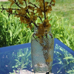 Puede incluir: Un jarrón de vidrio transparente con un patrón de diamante, lleno de flores amarillas de Forsythia. El jarrón está sobre una mesa de vidrio azul.