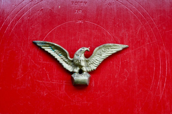 5 Birds That Could Steal Your Toddler Mnn Mother Nature