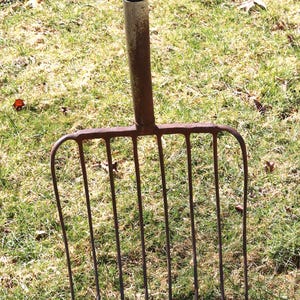May include: A rusty metal garden fork with a wooden handle and a black cap. The fork has multiple tines and is set in a grassy area. The tool is designed for gardening and landscaping tasks.