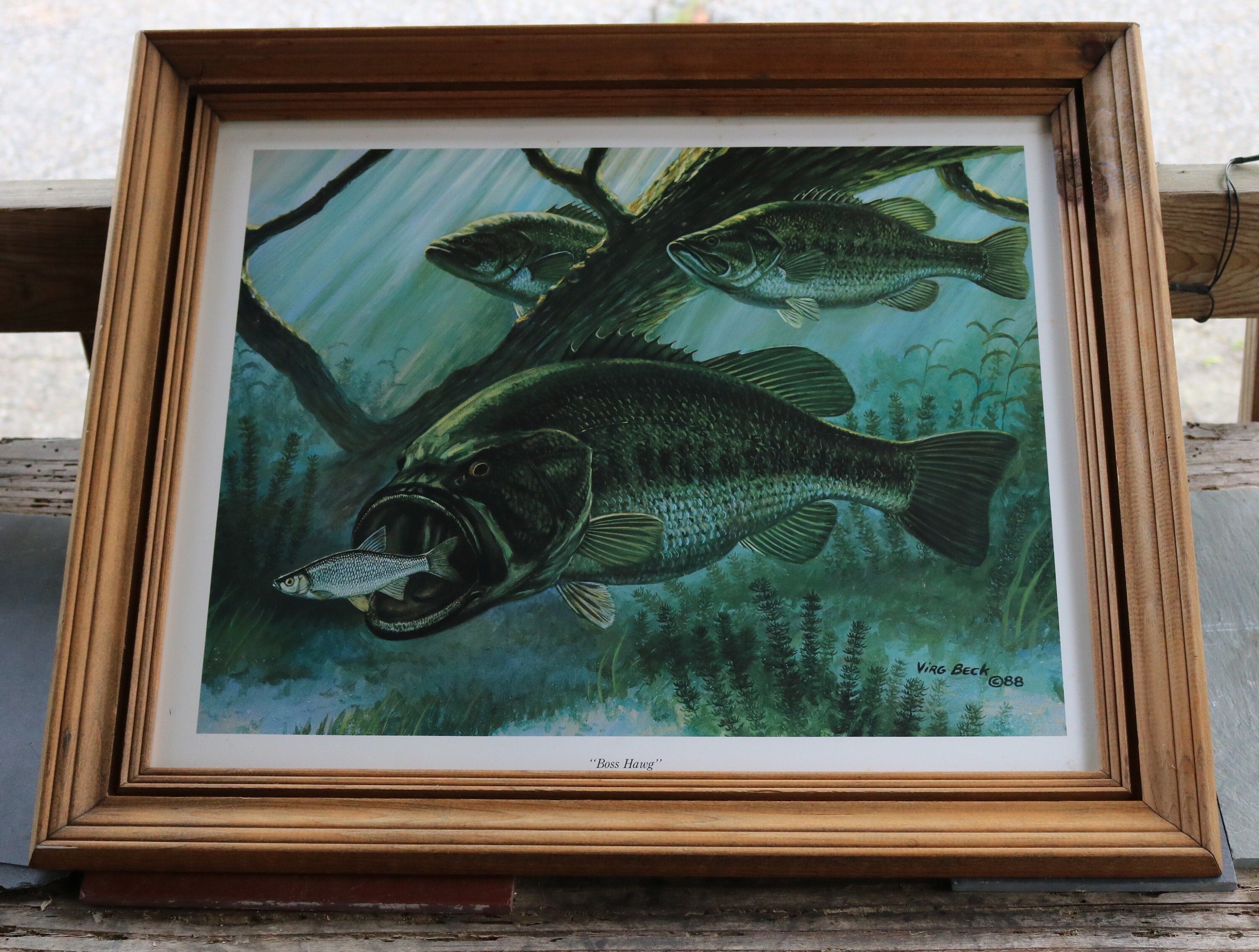 Bass Bass、EXPO'70 日本万国博 村井修 生写真 超激レア Awesome Framed Large Mouthed Bass Print by Virg Beck 1988 Titled