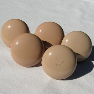 Puede incluir: Cinco pomos redondos de cerámica de color marrón claro, lisos y brillantes.