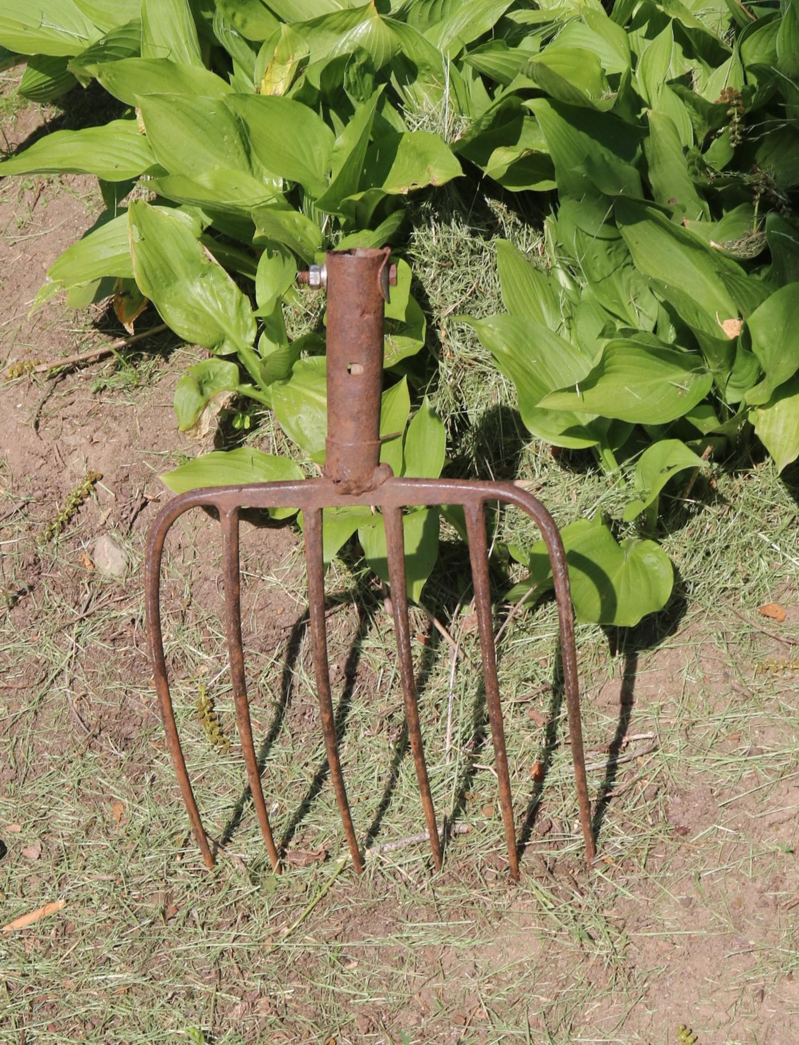 30s PITCHFORK 6-tine Thin Farm Rustic Primitive TOOL for Repurpose