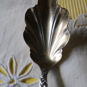May include: Close-up of a silver sugar spoon with a shell-shaped bowl and ornate handle. The spoon is set against a cream-colored tablecloth with a yellow floral design.