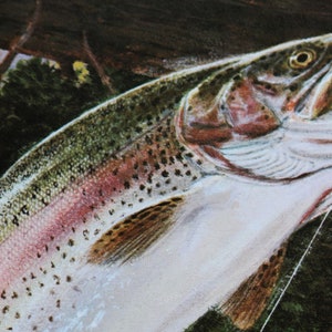 Set of Two Stunning Trout Prints The Color one is a Rainbow - the other is a Brown Trout signed by Peter A. Strzelewicz