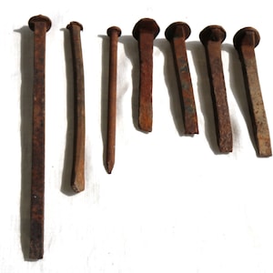 May include: A collection of eight rusty metal nails of varying sizes and shapes. The nails are arranged in a row on a white surface.