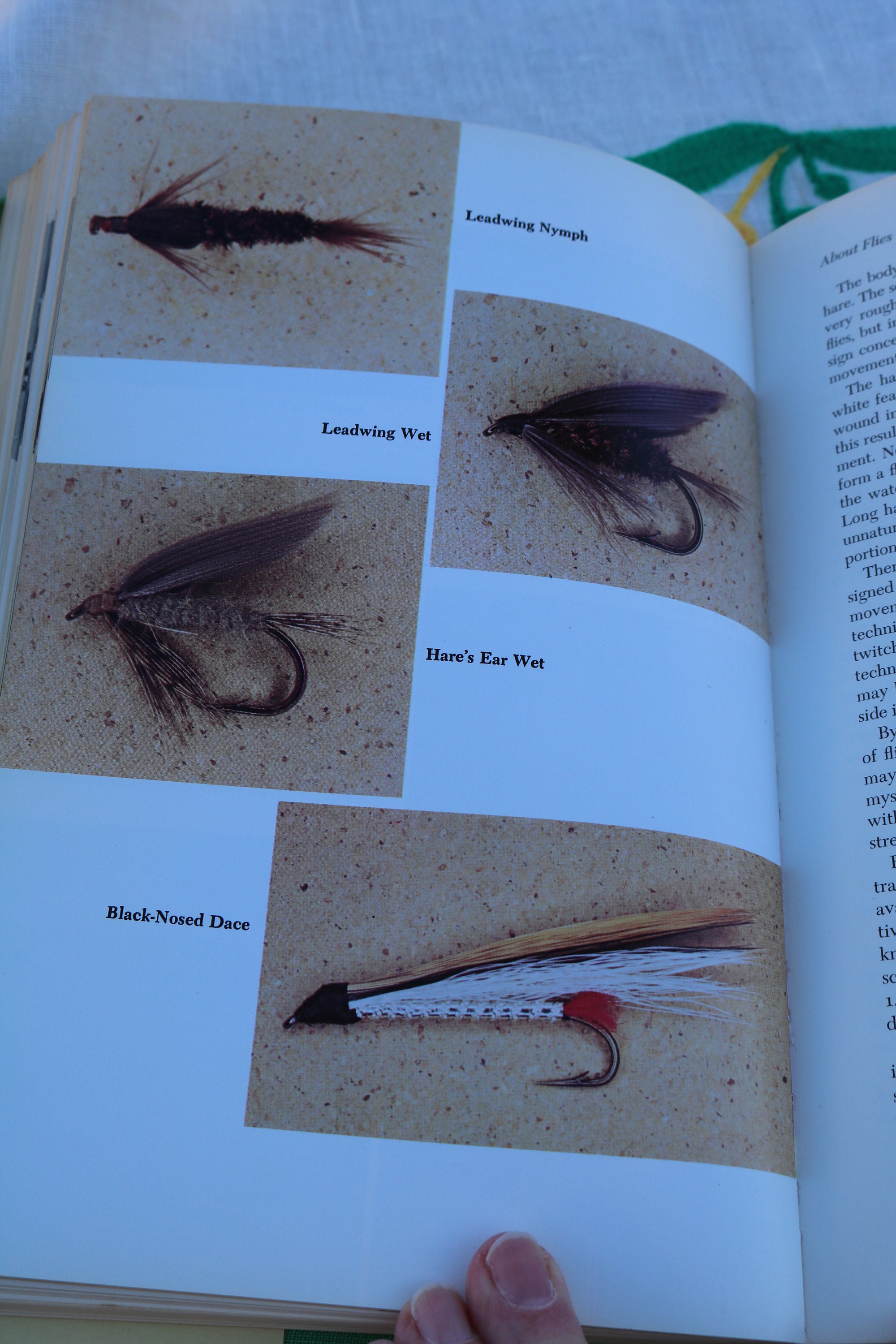70s FLY FISHING for TROUT A Guide for Adult Beginners by Richard