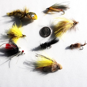Great Assortment of Eight Smaller Poppers and Unusual flies Perfect for Bass Trout or Panfish C