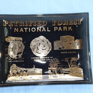 May include: Black glass ashtray with gold lettering that reads "Petrified Forest National Park". The ashtray features images of petrified wood formations with names like "The Armchair", "Old Faithful Log", and "Agate House".