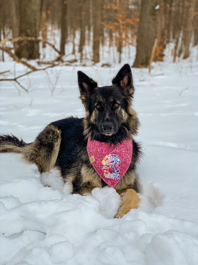 Triple Layer-Double Stitched Beauty Adjustable 3 Snap Custom Neck Size Bandana Cotton Pink Digital Glitter Dog Bandana