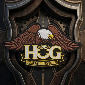 Broderad märke med vingar och örn, 30x6 cm, stryk-på, sy-på, applikation för jacka, ryggsäck, hatt