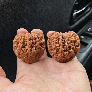 Nueces Wenwan naturales de 4 cm, pelotas de masaje para ejercicios de manos, alivio para la fatiga y la ansiedad al teclear, compañero ergonómico para la ansiedad.