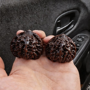 Puede incluir: Dos cáscaras de nuez talladas intrincadamente, de color marrón oscuro. Las cáscaras tienen una superficie texturizada y acanalada. La imagen es un primer plano, que muestra la artesanía detallada de las nueces talladas.