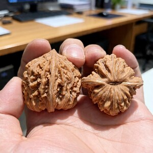 Natürliche 4 cm Wenwan Walnüsse - Handwerkliches Handpflege-Werkzeug - Einzigartiges taktiles Sammlerstück