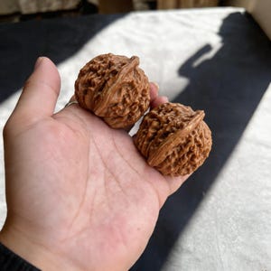 Puede incluir: Dos nueces marrones con superficies texturizadas se sostienen en una mano. Las nueces tienen una forma redondeada con una costura prominente y un color marrón claro. La imagen está bien iluminada, destacando los detalles de las nueces.