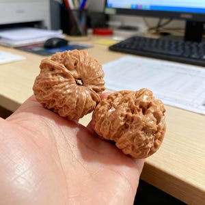 Authentic 4cm Wenwan Walnuts – Natural Hand Comfort Tool – Tactile Sensory Fidget