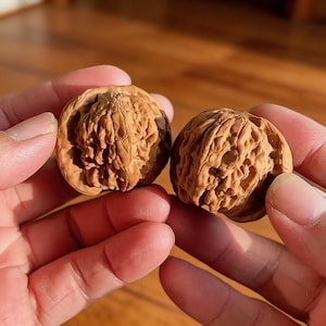 Natural 4cm Wenwan Walnuts, Hand Exercise Massage Balls, Ergonomic Fidget Companion, Relief for Typing Fatigue & Anxiety