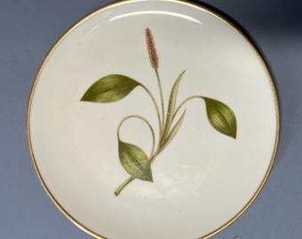 Plato de porcelana Franciscan Mesa