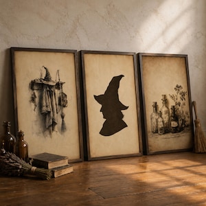 Puede incluir: Tres cuadros rectangulares enmarcados con fondo de pergamino en tono sepia. La lámina de la izquierda muestra un sombrero y una capa colgados, la central presenta la silueta oscura de un sombrero puntiagudo y la derecha muestra botellas.