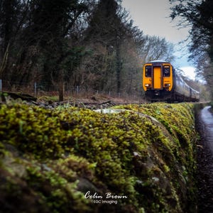 Peut inclure: Un train de passagers jaune et argenté se déplace sur une voie ferrée, entouré d'arbres et d'un mur de pierre recouvert de mousse. Un chemin longe la voie. Photographie de paysage.