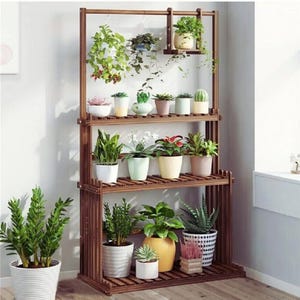 Może przedstawiać: Wielopoziomowy, ciemnobrązowy drewniany stojak na rośliny wypełniony różnymi roślinami doniczkowymi. Stojak ma prostokątną ramę z półkami z listew i górnym drążkiem do wieszania roślin. Rośliny obejmują sukulenty, paprocie i rośliny kwitnące.