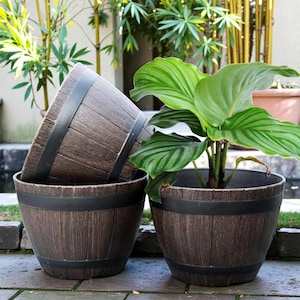 Pode incluir: Três vasos marrons em forma de barril com faixas pretas. Um vaso contém uma planta verde com folhas. Os vasos são feitos de um material que se assemelha à madeira. Os vasos estão em uma superfície de pedra.