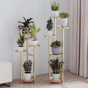 Op de afbeelding: Twee gouden metalen plantenstandaards, elk met meerdere ronde planken met diverse potplanten. De planten omvatten slangenplanten, varens en cactussen. De standaards staan tegen een witte muur.
