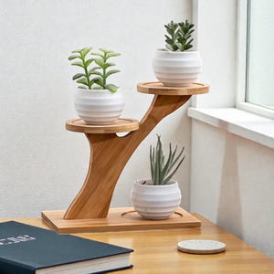 Puede incluir: Un soporte para plantas de bambú de tres niveles con tres pequeñas macetas de cerámica blanca, cada una con una planta suculenta diferente. El soporte tiene un acabado de madera natural.