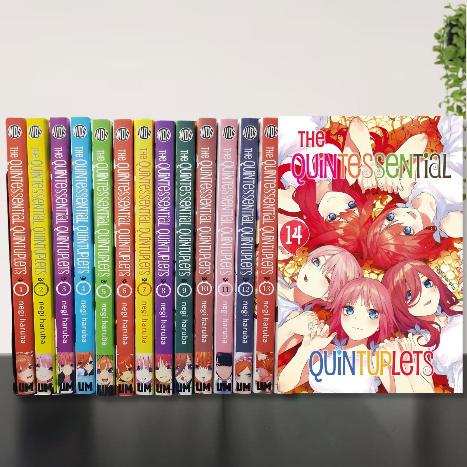 The Quintessential Quintuplets 全巻セット英語版 The Quintessential Quintuplets 全巻セット英語版 The Quintessential