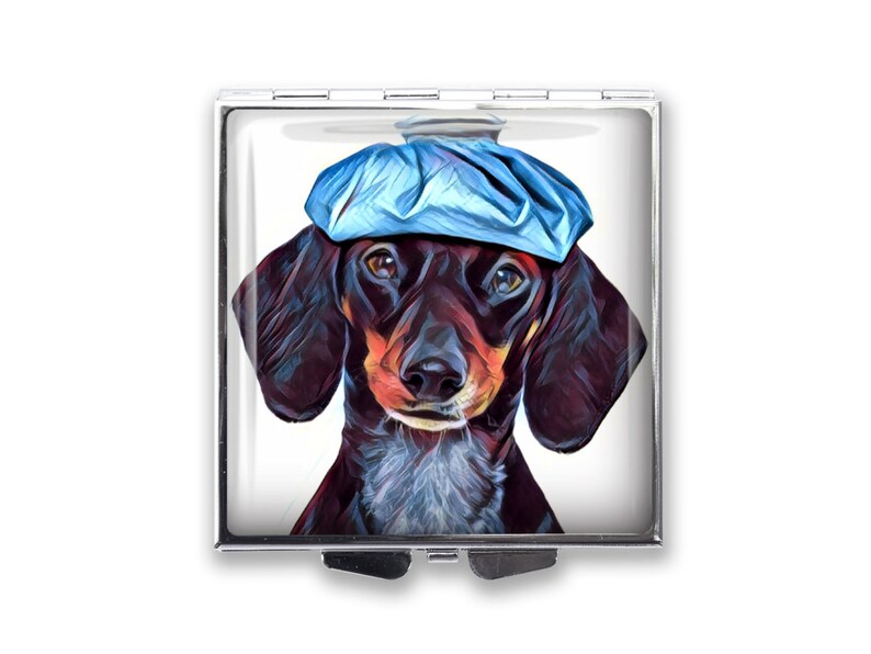 pille für den hund