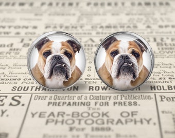 Your English Bulldog's Photo on Earrings