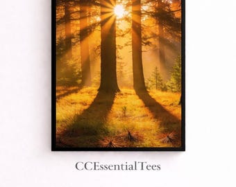 Sunbeam Forest Wall Art | Golden Light Through Trees | Magical Morning Forest Print | Digital Download | 4 Sizes