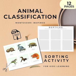Op de afbeelding: Een op Montessori geïnspireerde activiteit voor het classificeren van dieren voor kinderen. De afbeelding toont een PDF met reptielen sorteerkaarten met illustraties van slangen, krokodillen, schildpadden, leguanen, Komodo-varanen en kameleons. De tekst luidt "12 pagina's."