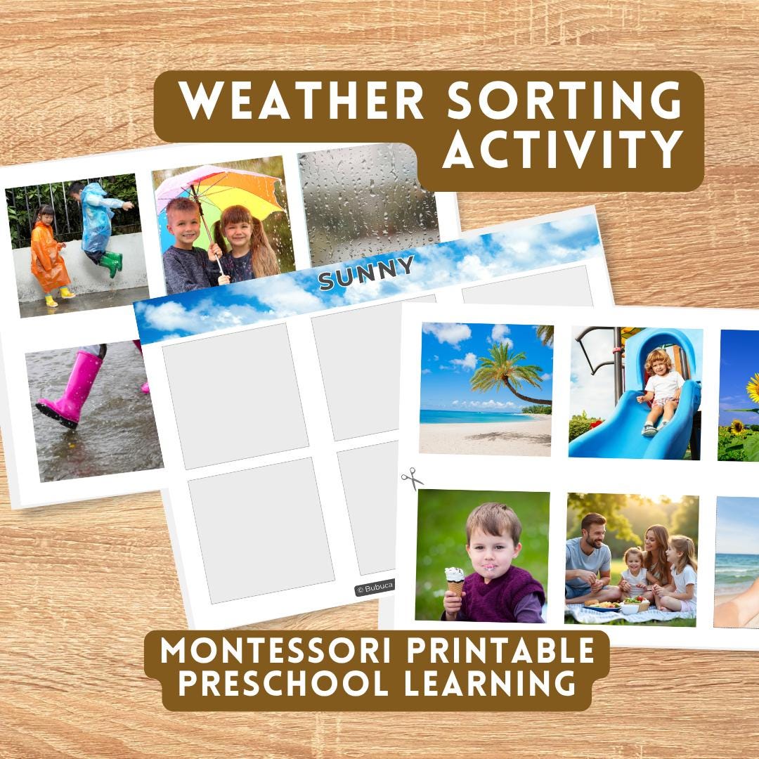 Weather. Sort Kid Weather Sorting Activity for Kids | Montessori Preschool Printable ...