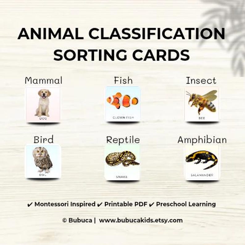 Animal Classification Sorting Activity | Montessori Kids Science ...