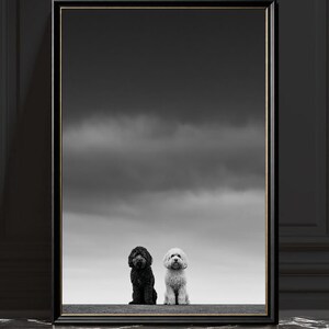 Pode incluir: Uma impressão de arte emoldurada com uma fotografia a preto e branco de dois cães de pelo encaracolado sentados lado a lado contra um céu nublado. Um cão é preto sólido e o outro é branco sólido. A moldura é preta e fina.