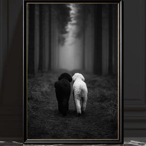 Pode incluir: Uma impressão de arte de parede emoldurada em preto e branco retratando dois cães de pelo encaracolado, um preto e um branco, caminhando para longe do observador por um caminho florestal escuro e enevoado, ladeado por árvores altas e verticais.