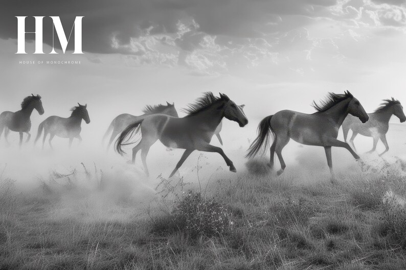 Horse Herd Print, Black and White, Wild Running Horses Wall Art ...