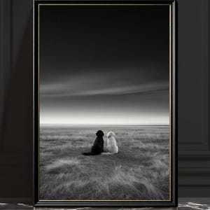 Op de afbeelding: Een zwart-wit ingelijste muurkunstprint met een zwarte hond en een witte hond die zij aan zij in een uitgestrekt grasveld zitten. De scène toont een dramatische, bewolkte lucht boven de horizon, alles gevat in een dunne zwarte lijst.