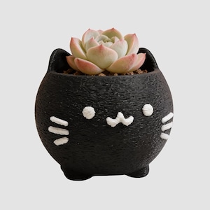 Cute Cat Planter – Cat Lover Gift for Her, Succulent Pot, Animal Desk Decor, Christmas Gift, Cat Mom, Birthday Present idea, black cat