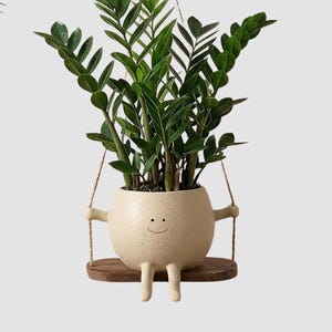 Maceta colgante pequeña Happy Flowerpot, maceta colgante de resina con cara sonriente, maceta colgante para suculentas, decoración para interiores y exteriores.