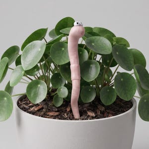 Może przedstawiać: Jasnoróżowa, segmentowana figurka robaka z dwoma białymi ruchomymi oczami, umieszczona pionowo w roślinie Pilea peperomioides. Roślina znajduje się w gładkiej, matowej, jasnoszarej ceramicznej doniczce. Widoczny jest tekst www.LeVeridianStudio.etsy.com.