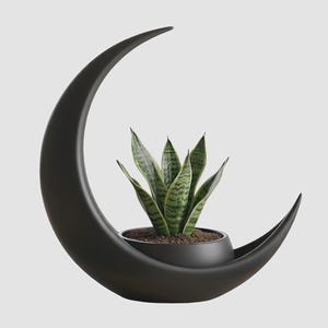 Maceta Crescent Moon: Maceta moderna negra para suculentas, plantas de aire, decoración minimalista, regalo gótico o bohemio.